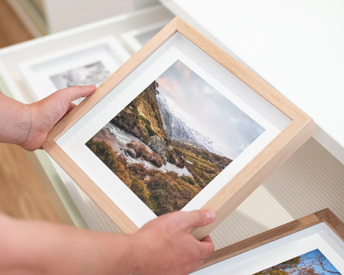 Looking Up - Alpine wall art small framed print with Tassie Oak frame.