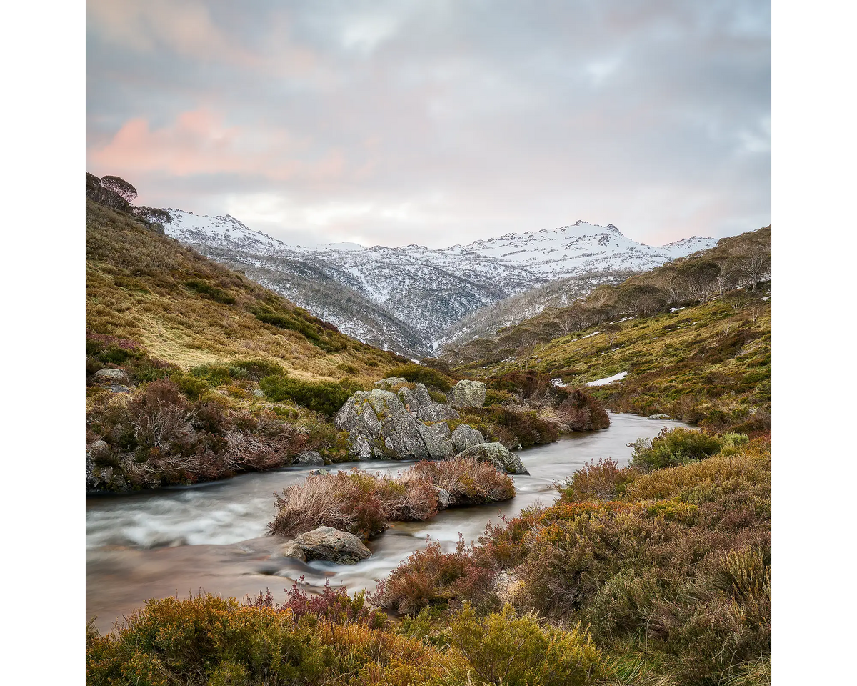 Looking Up. Thredbo River and winter snow, Kosciuszko National Park.