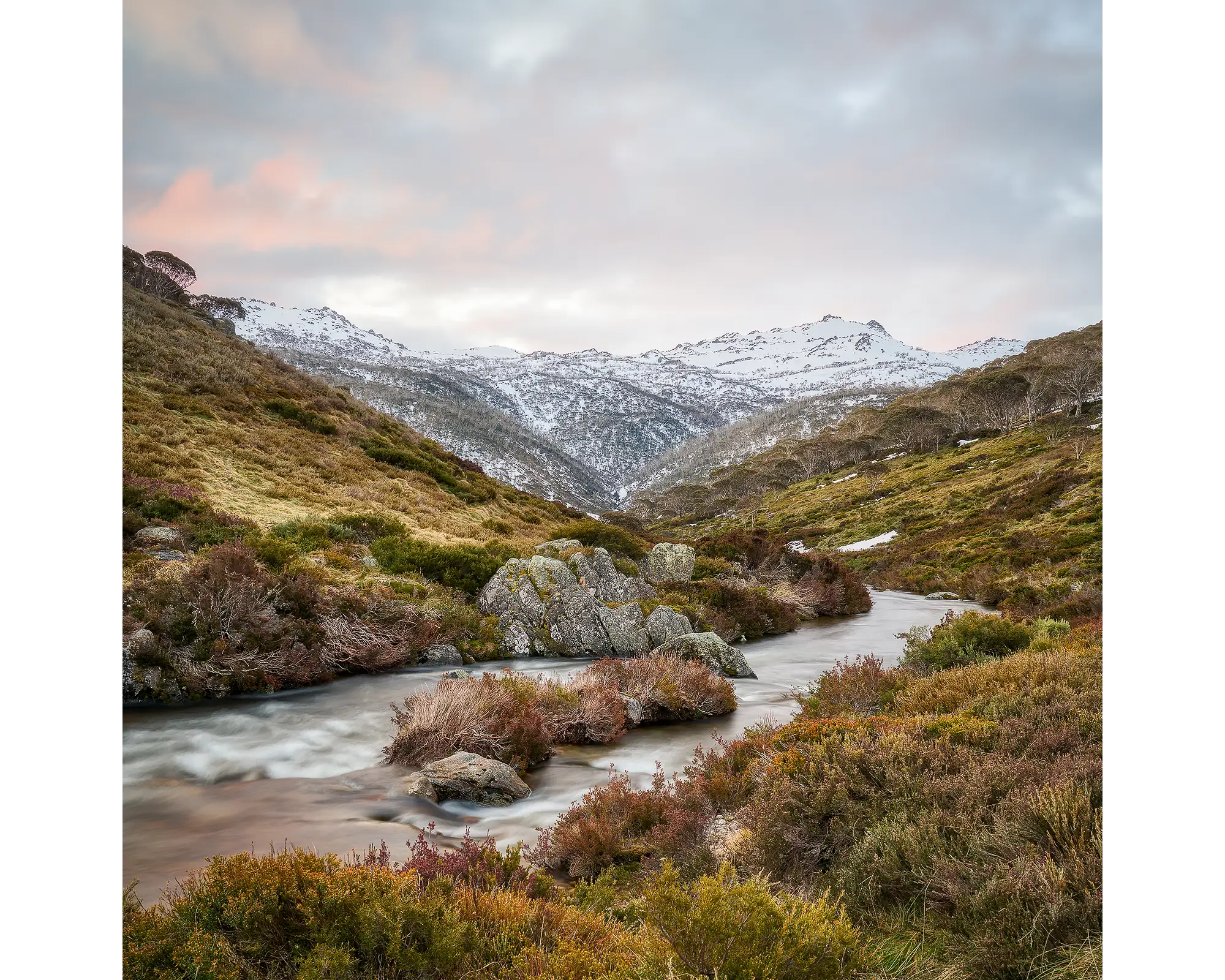 Looking Up. Thredbo River and winter snow, Kosciuszko National Park.