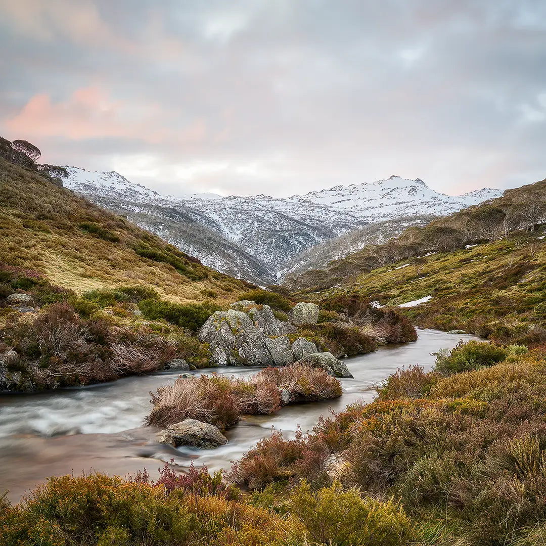 Looking Up - Thredbo River, Kosciuszko National Park with snow