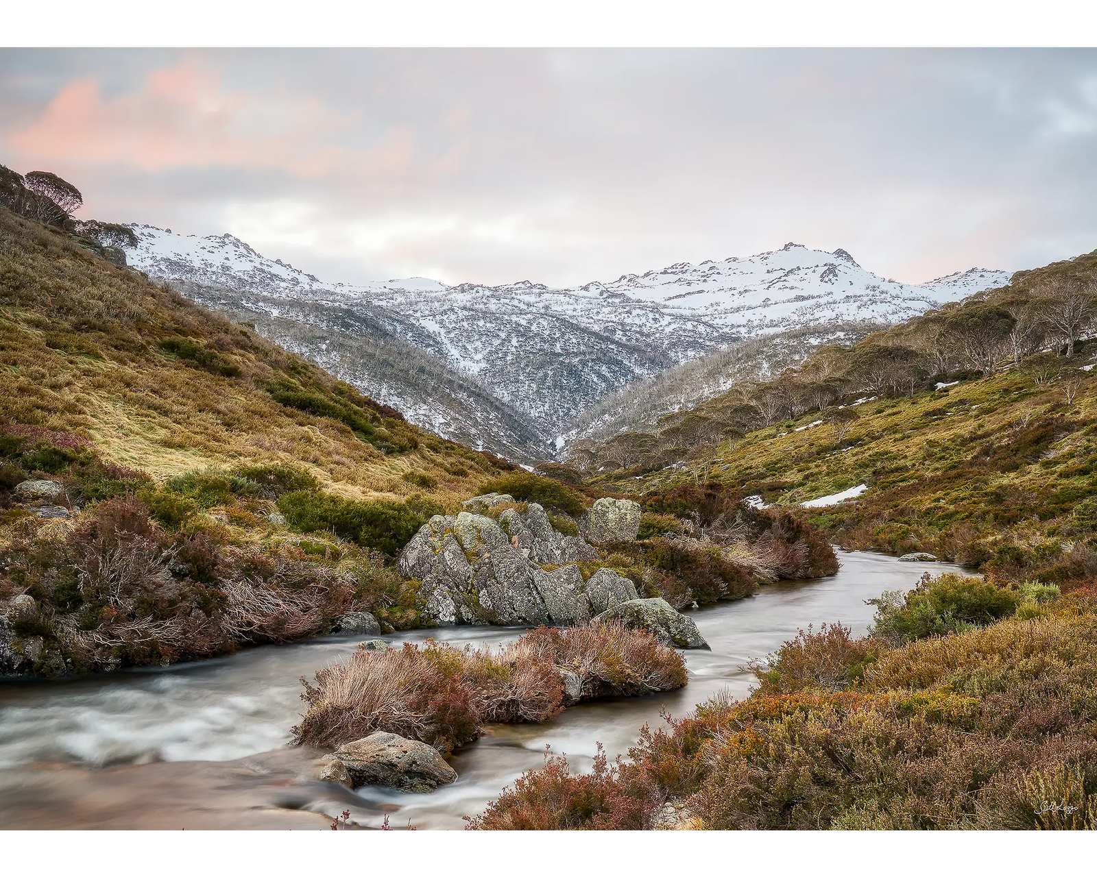 Looking up. 1000 piece jigsaw box.