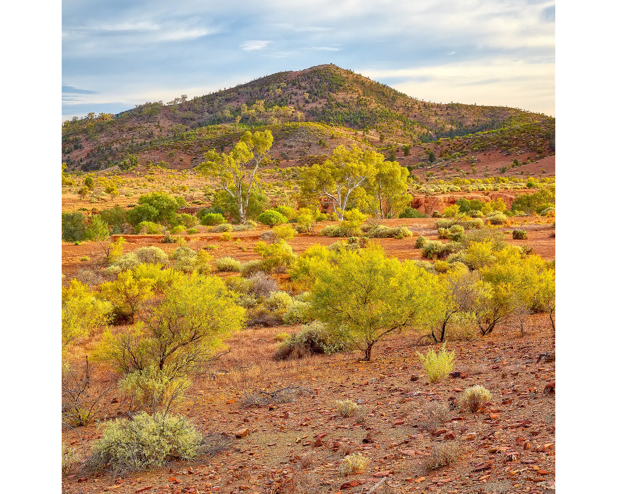 Lost In Time. ABC Range and Aroona Vallery, Flinders Ranges, South Australia.