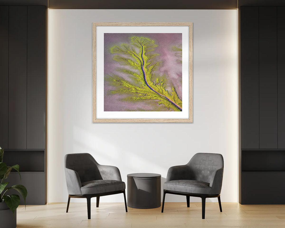 Lumination. Aerial abstract wall art print of the Kimberley, with a Tasmanian Oak frame, hung in an office reception. 