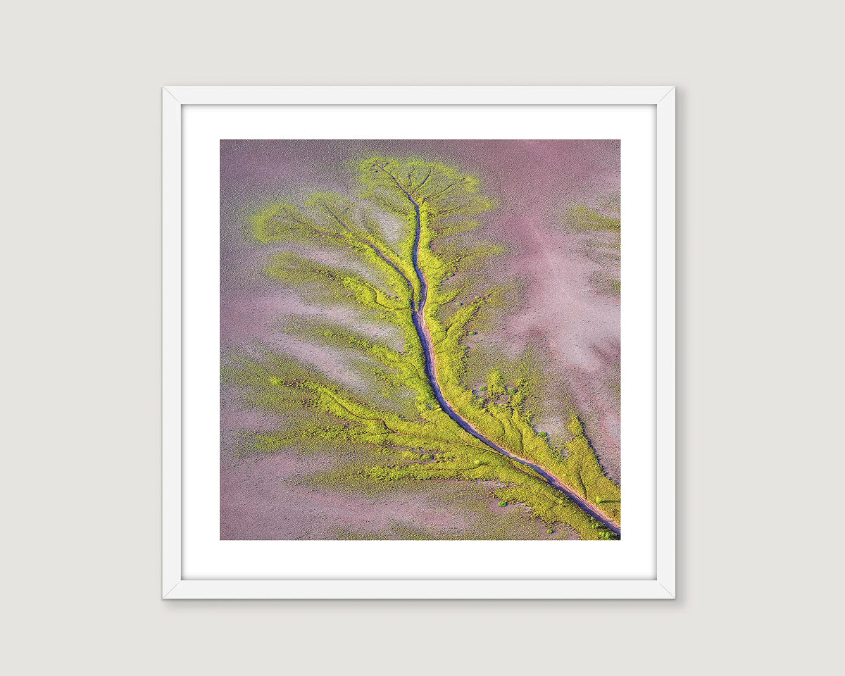 Aerial wall art print of patterns created in mudflats by the King River, the Kimberley. 