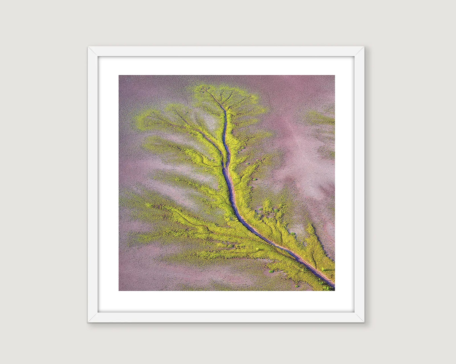 Aerial wall art print of patterns created in mudflats by the King River, the Kimberley. 