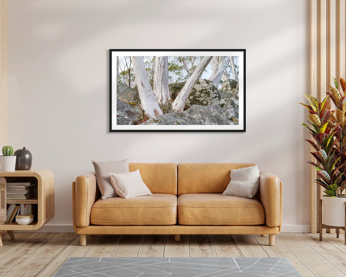 Macedon Sentinels. Wall art print of snow gums in volcanic rock, framed in a black frame and hung above a living room couch. 