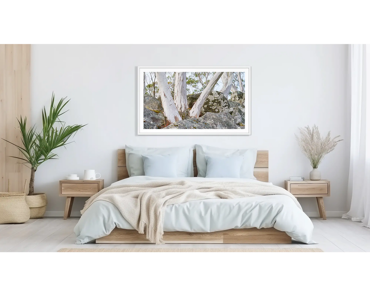 Macedon Sentinels. Wall art print of snow gums on Mount Macedon, framed in a white frame and hung above a bed.