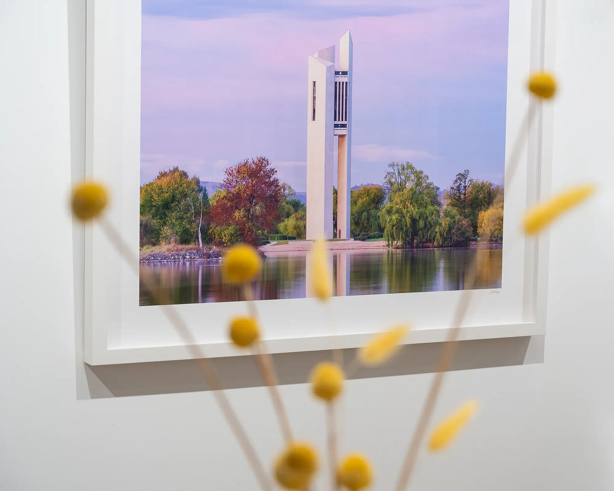 Magenta Dawn. National Carillon, Canberra, at sunrise, with yellow florals in foreground.