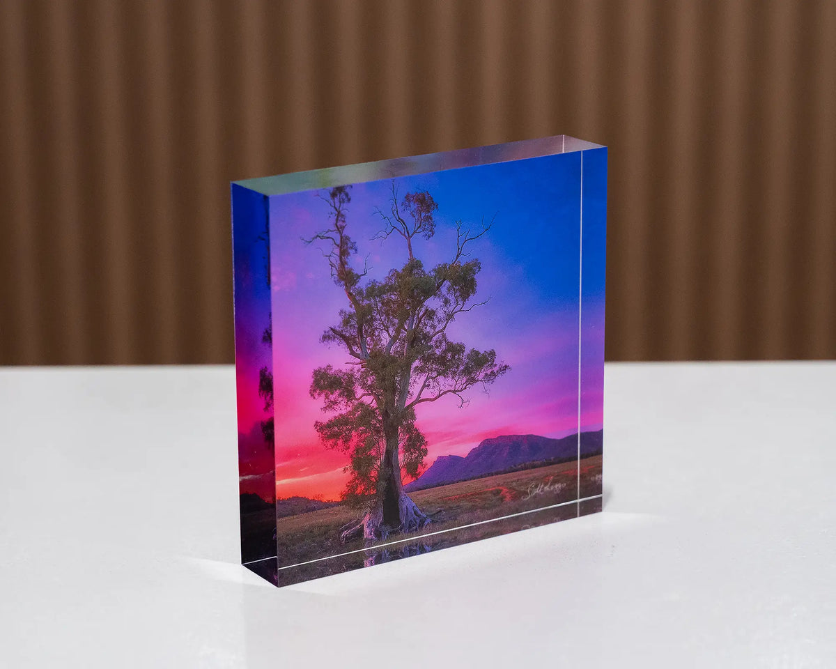 Majestic. Acrylic block Cazneaux tree, Flinders Ranges, South Australia, sitting on a desk.