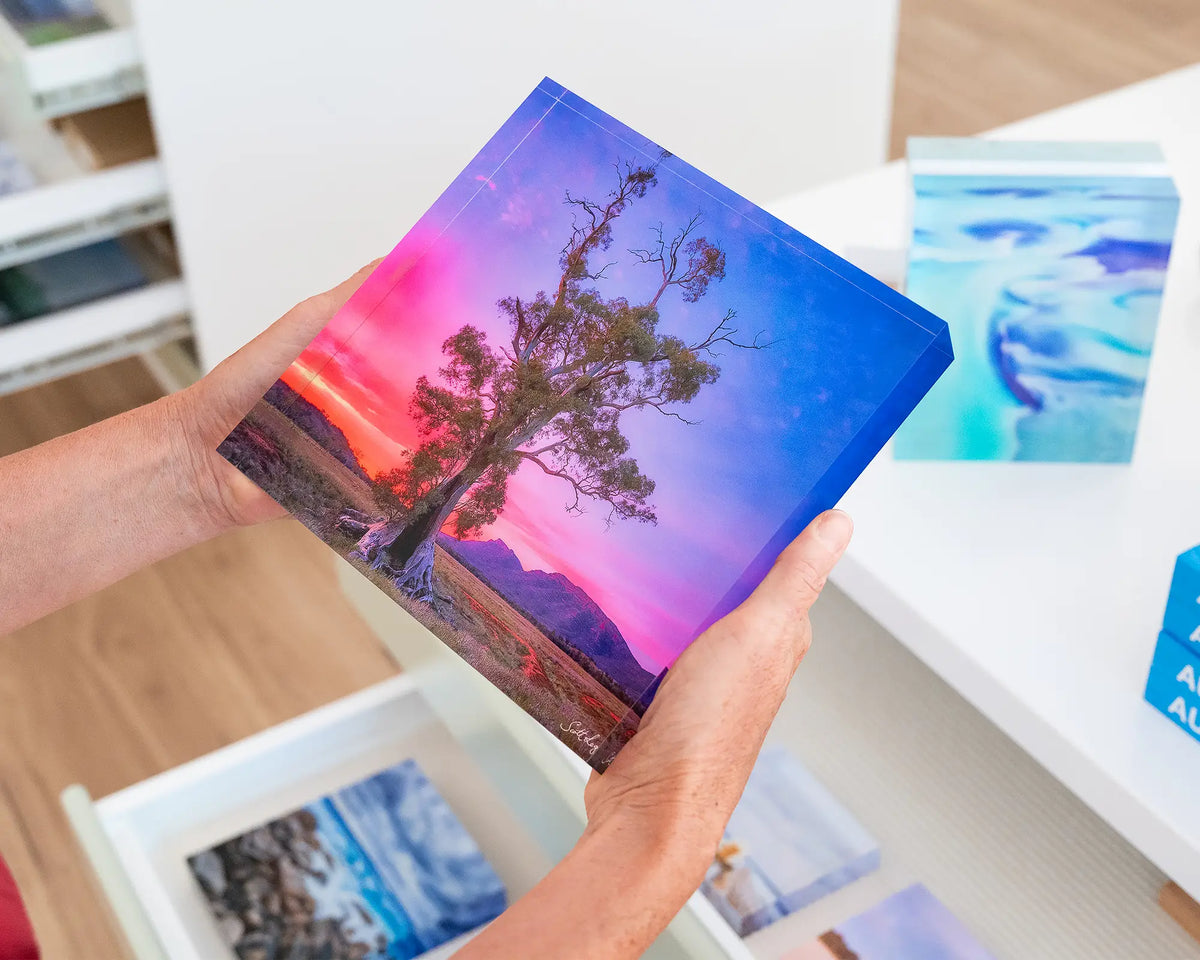 Majestic. Acrylic block Cazneaux tree, Wilpena, Flinders Ranges South Australia, hand held in gallery.