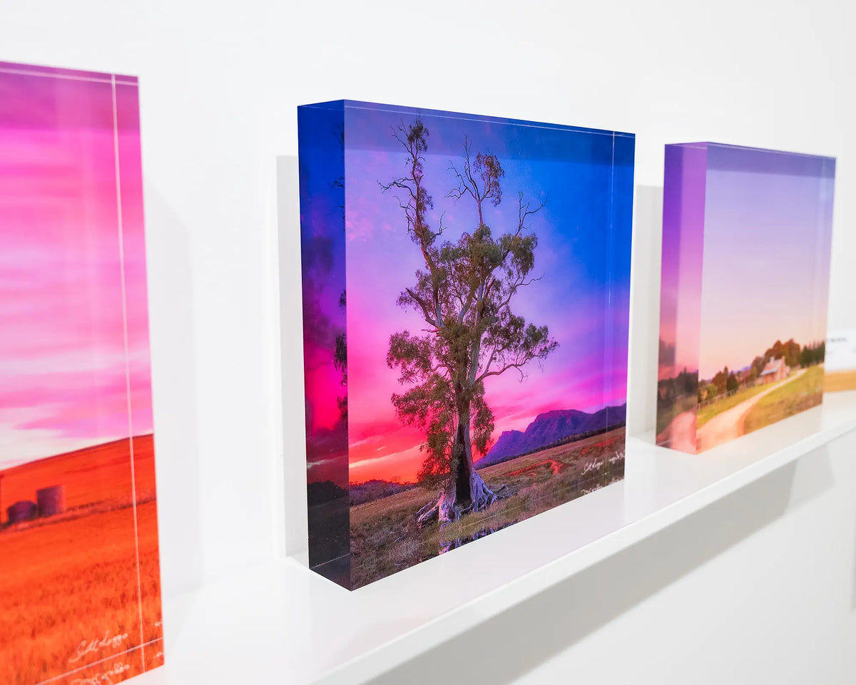 Majestic. Acrylic block Cazneaux's tree, Flinders Ranges, South Australia, on gallery shelf with more country acrylic blocks.