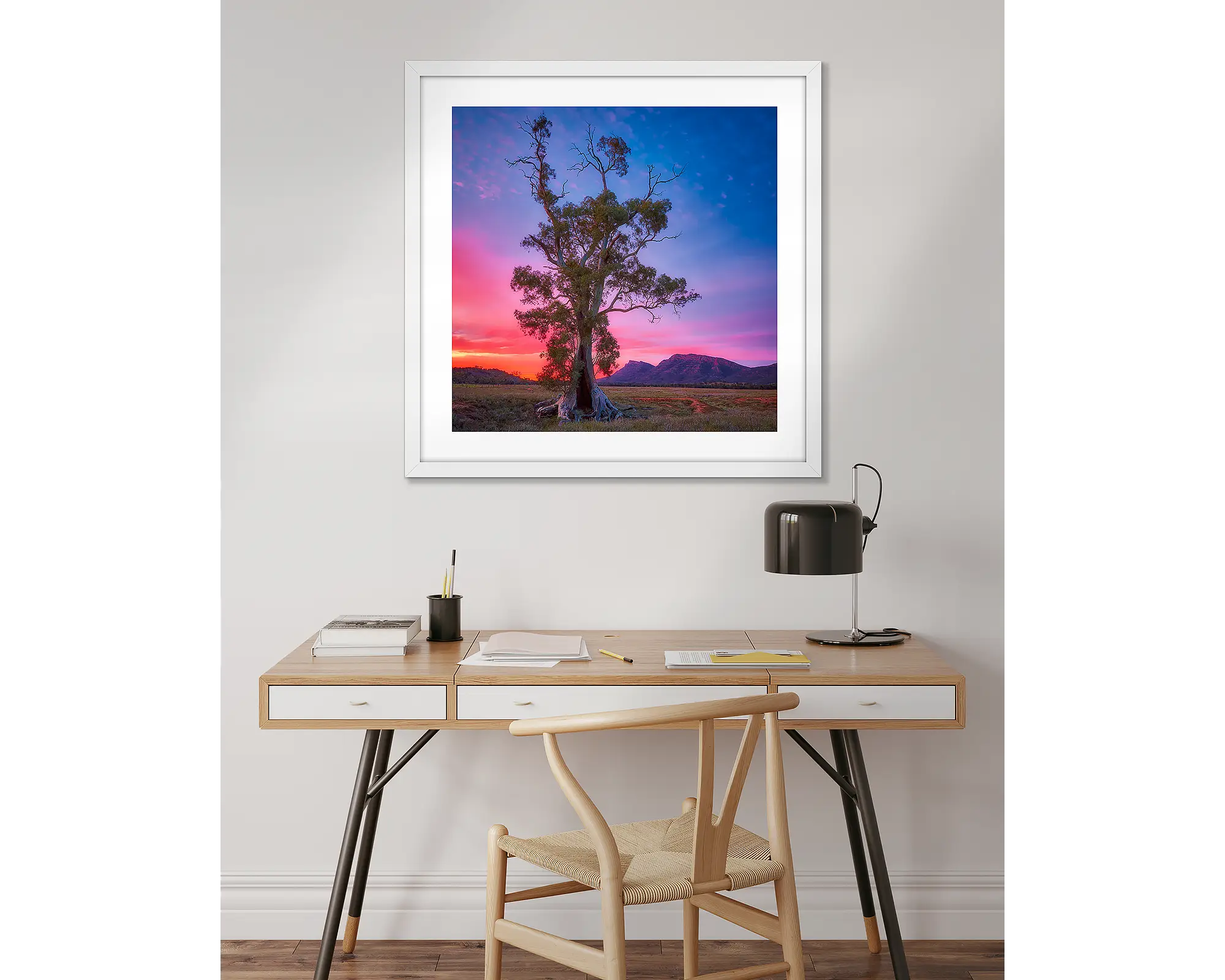 Majestic. Cazneaux Tree, Flinders Ranges, with purple sky at sunrise.