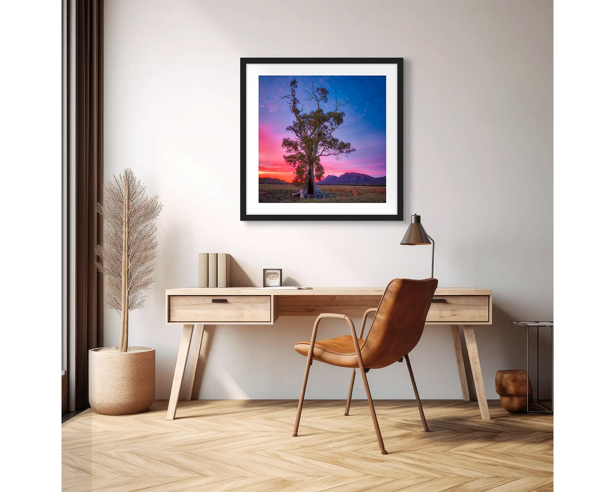 Majestic. Cazneaux tree photographic wall art print with a black frame, hung above a scandi office desk. 