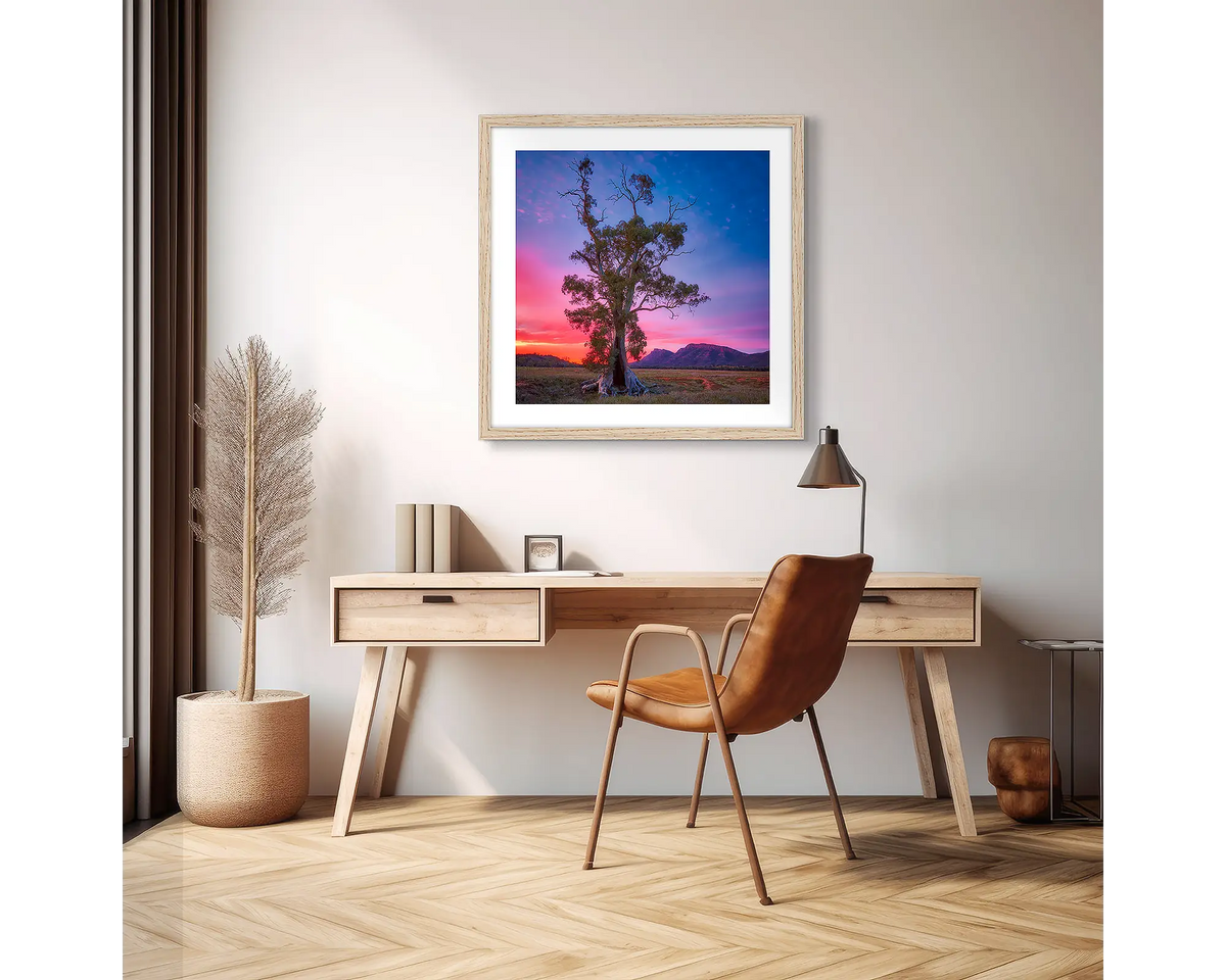 Majestic. Cazneaux tree photographic wall art print with a Tassie oak frame, hung above a scandi office desk. 
