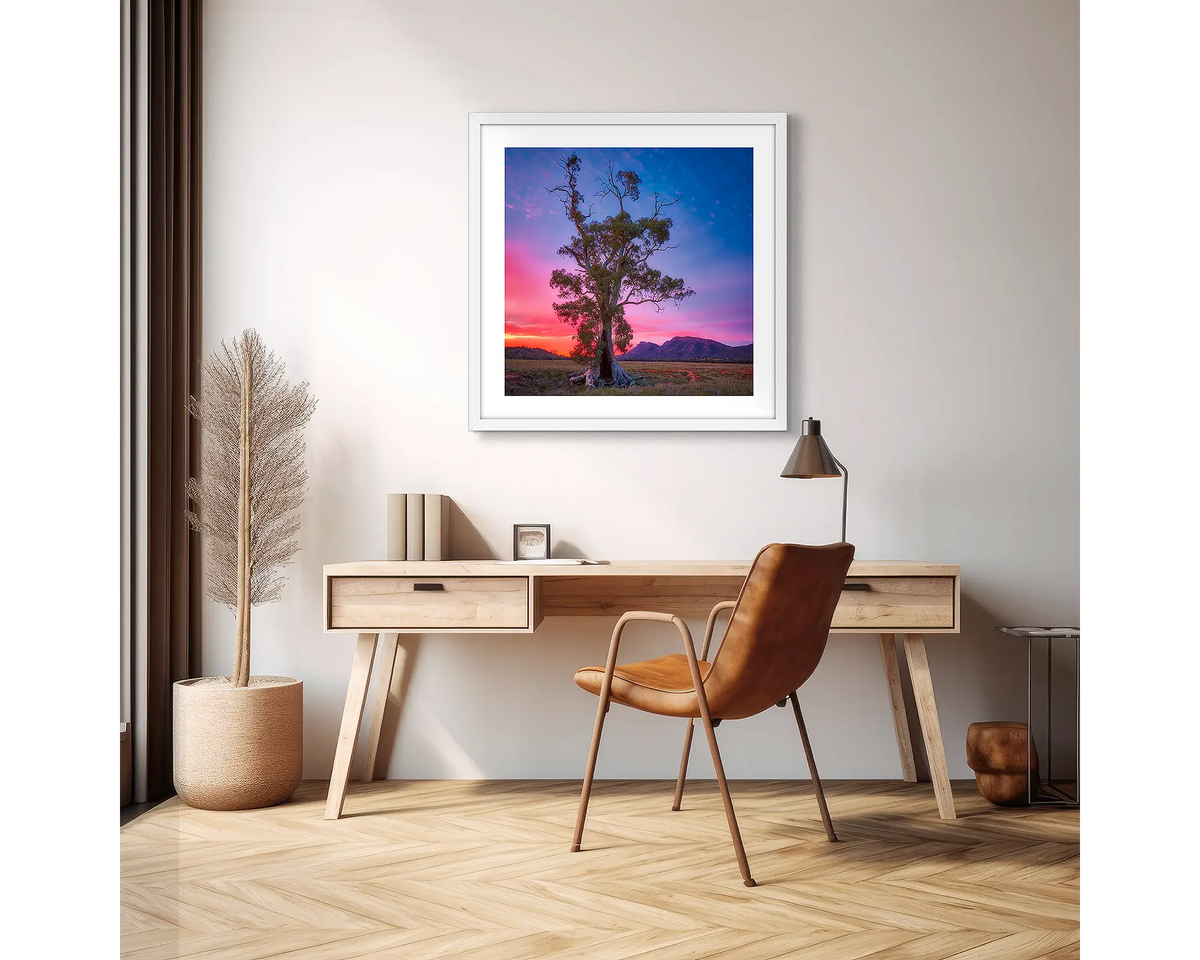 Majestic. Cazneaux tree photographic wall art print with a white frame, hung above a scandi office desk. 