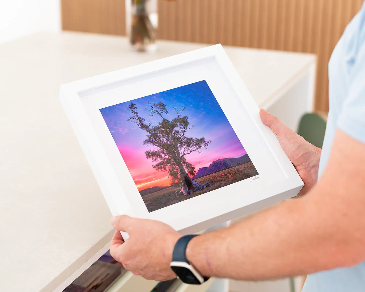 Majestic - River Red Gum wall art print with small white frame.