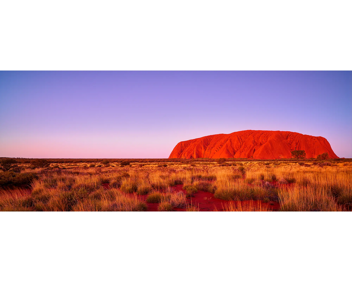 Majestic Uluru. Sunset at Uluru (Ayers Rock), Northern Territory, Australia.