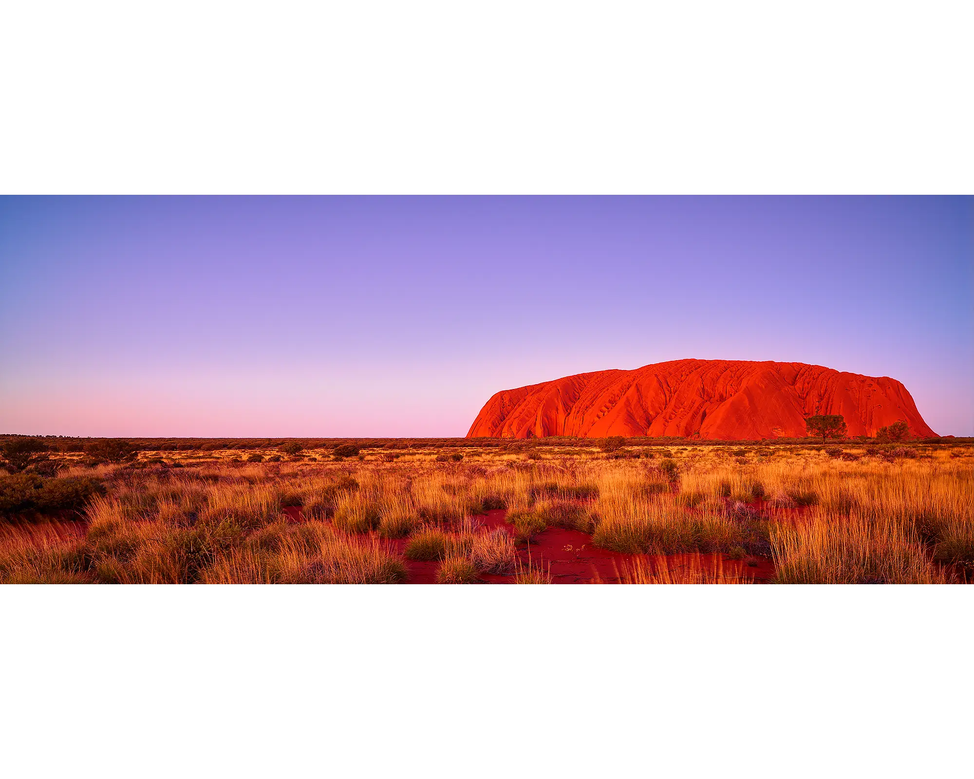 Majestic Uluru. Sunset at Uluru (Ayers Rock), Northern Territory, Australia.