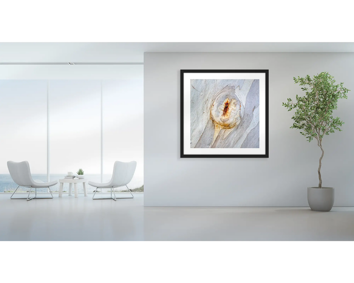 Mark of Time. Abstract wall art print of snow gum bark, with a black frame hung in a foyer area. 