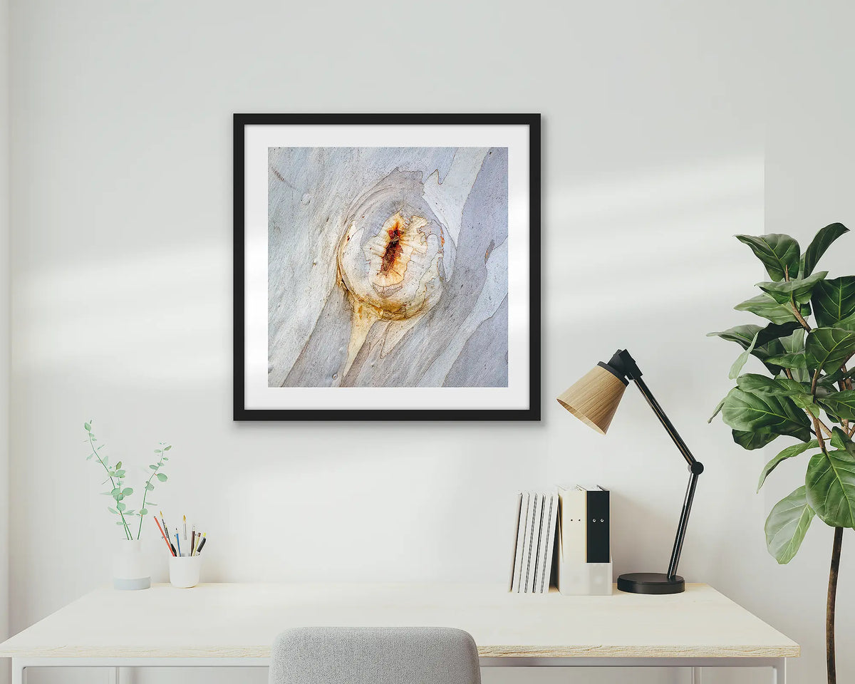 Mark of Time. Abstract wall art print of snow gum bark, with a black frame hung in a home office. 