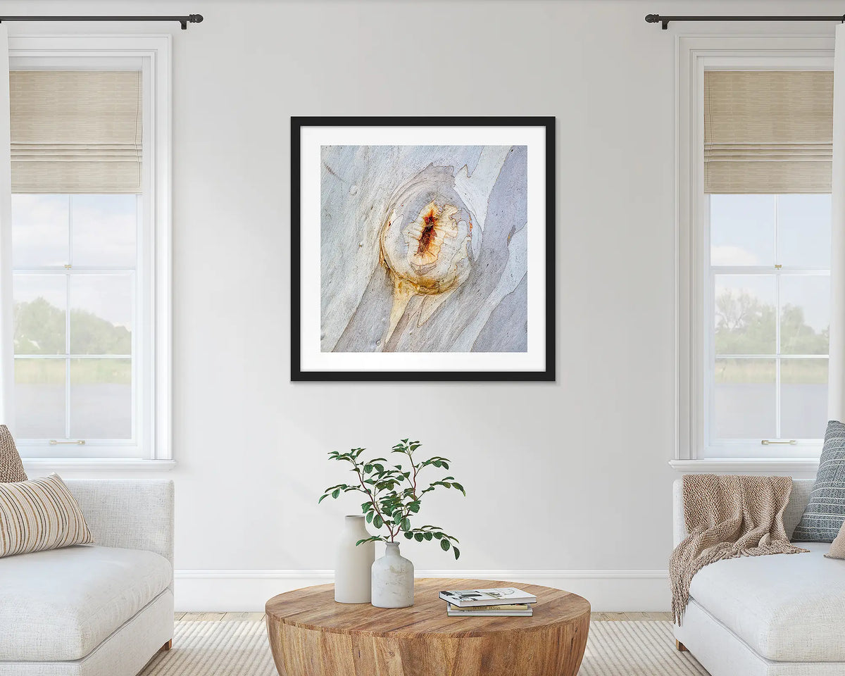 Mark of Time. Abstract wall art print of snow gum bark, with a black frame hung in a lounge room. 