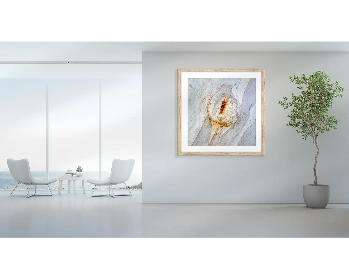 Mark of Time. Abstract wall art print of snow gum bark, with a Tassie Oak frame hung in a foyer area. 