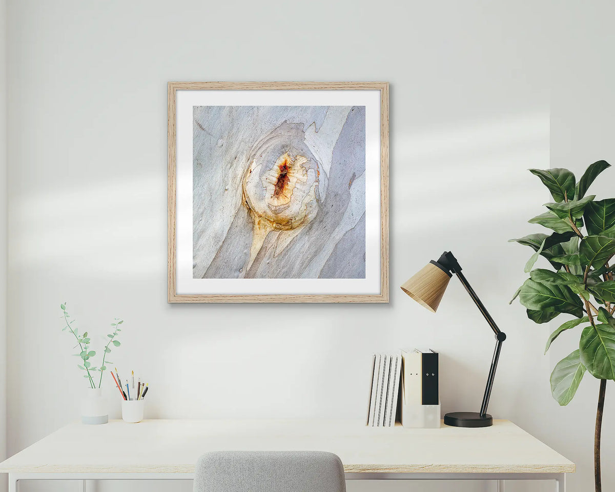 Mark of Time. Abstract wall art print of snow gum bark, with a Tassie Oak frame hung in a home office. 