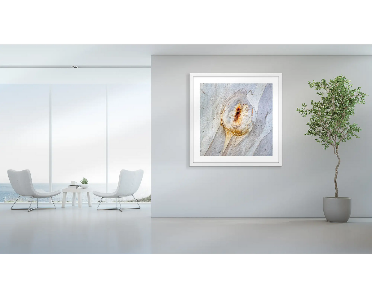 Mark of Time. Abstract wall art print of snow gum bark, with a white frame hung in a foyer area. 