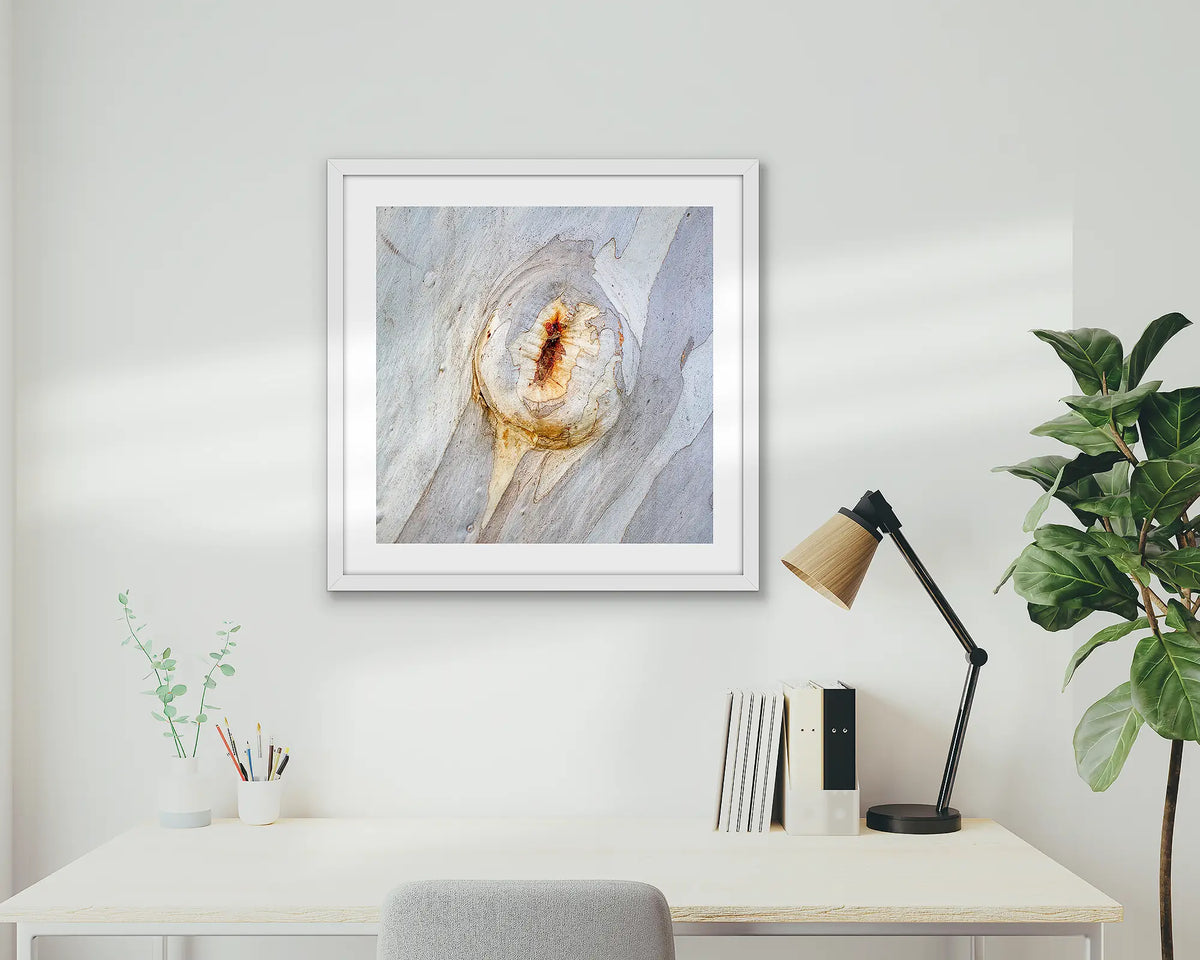Mark of Time. Abstract wall art print of snow gum bark, with a white frame hung in a home office. 