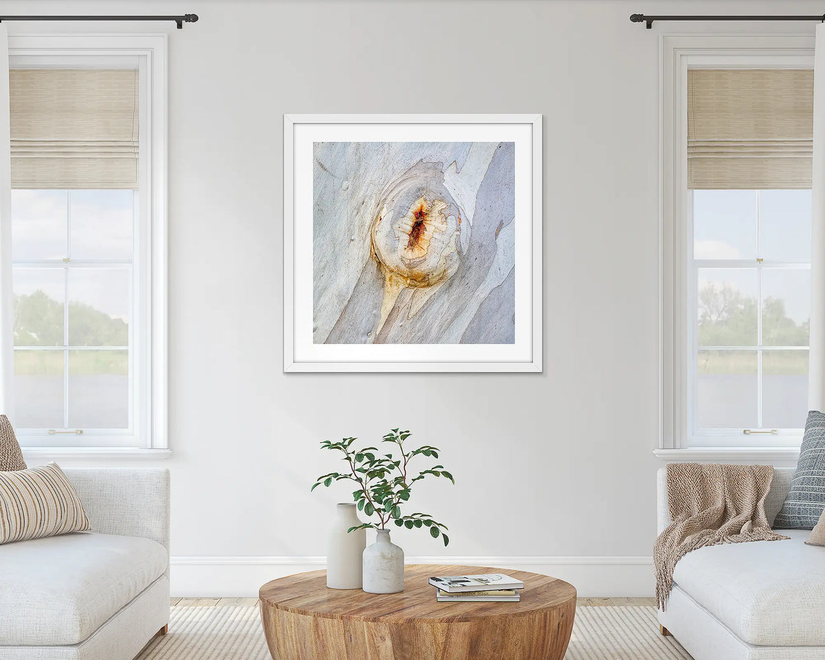 Mark of Time. Abstract wall art print of snow gum bark, with a white frame hung in a lounge room. 