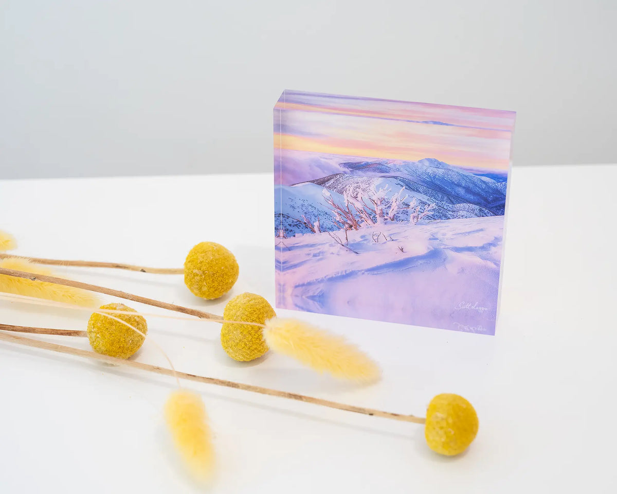 Memories Of Winter. Acrylic block of sunset light over Mount Feathertop, on desk with dried flowers.