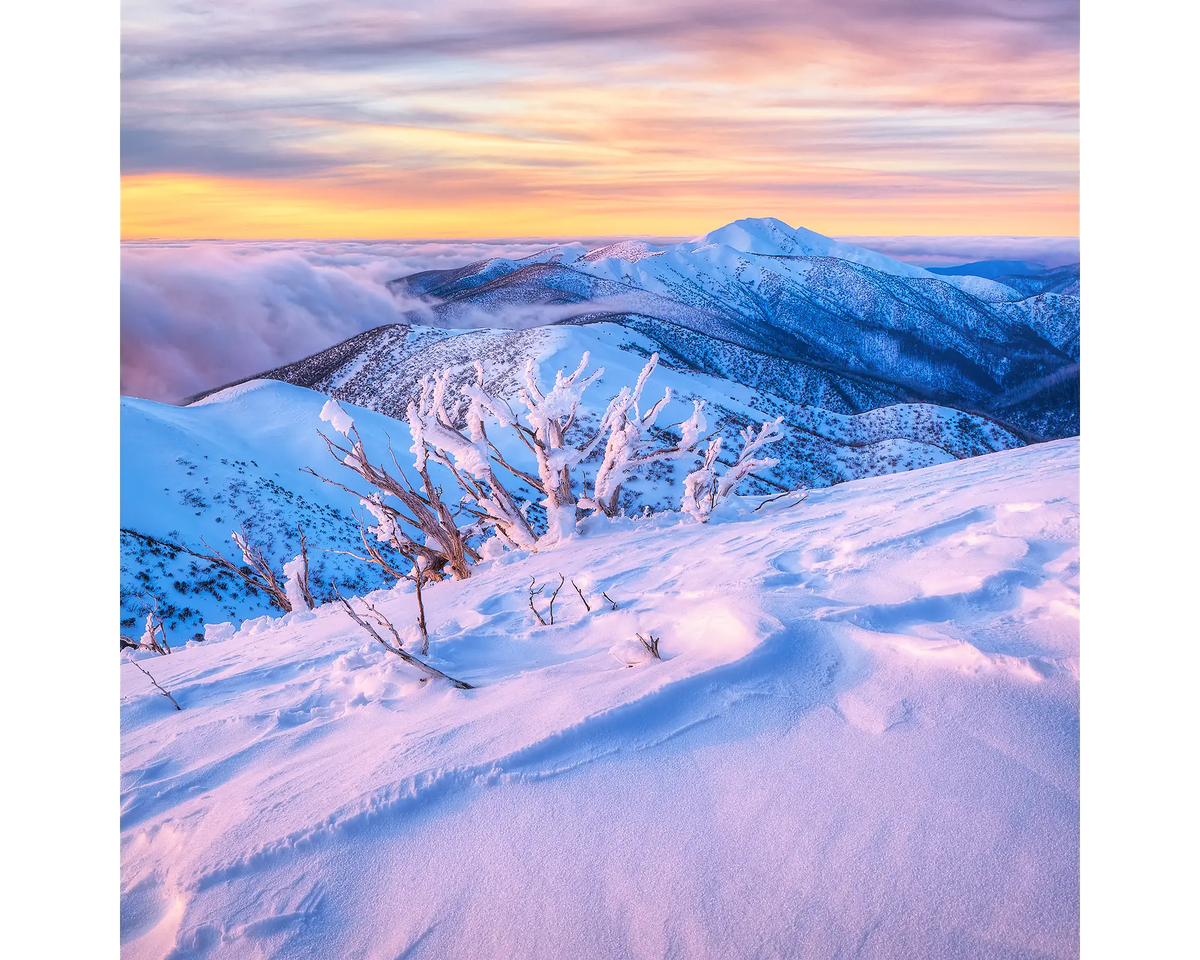 Memories Of Winter - sunset light over Mount Feathertop.