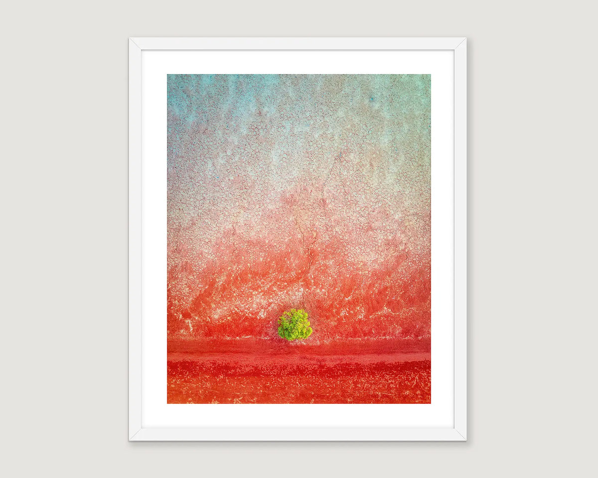 Framed photograph of a mangrove tree on red sand at low tide.