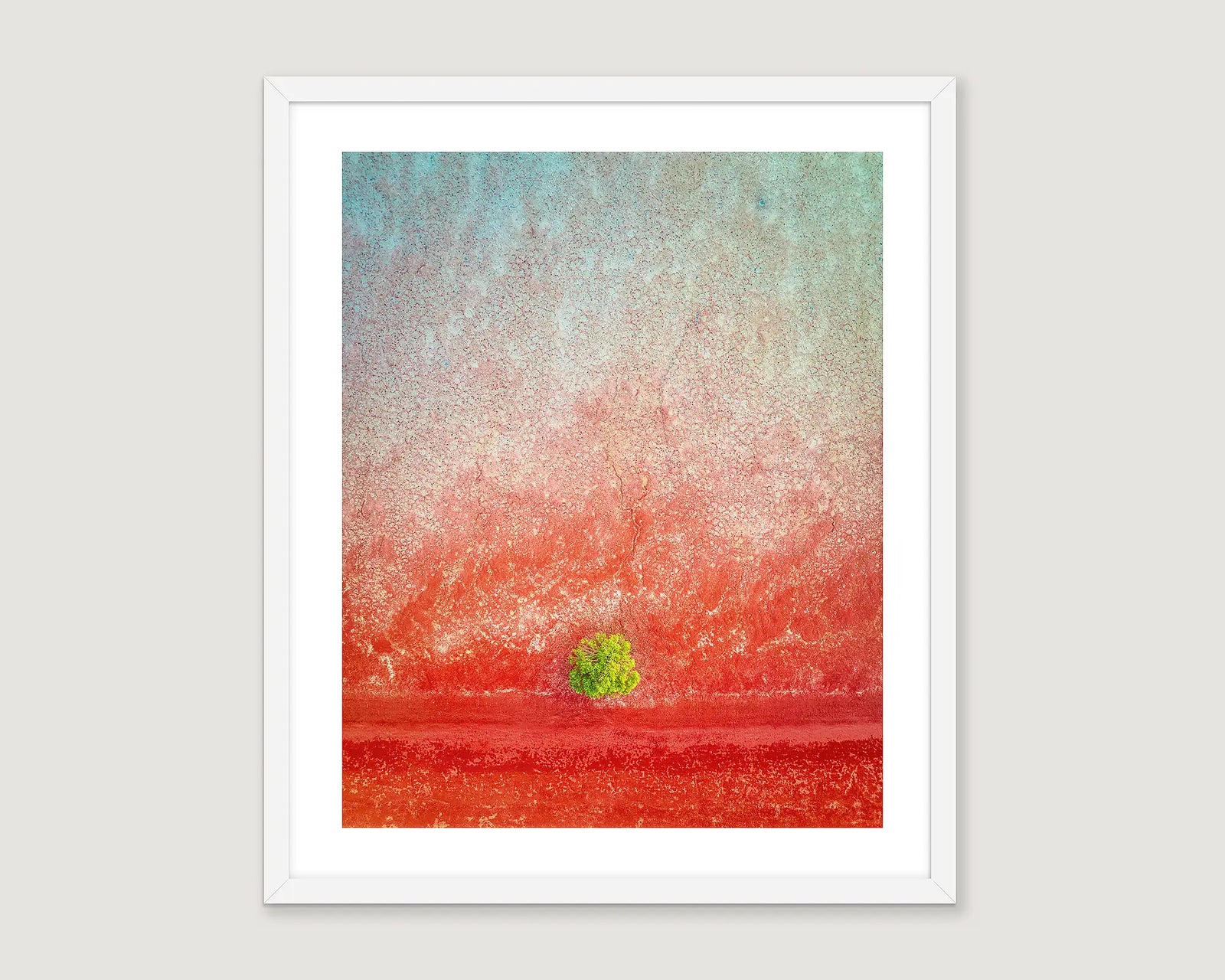 Framed photograph of a mangrove tree on red sand at low tide.