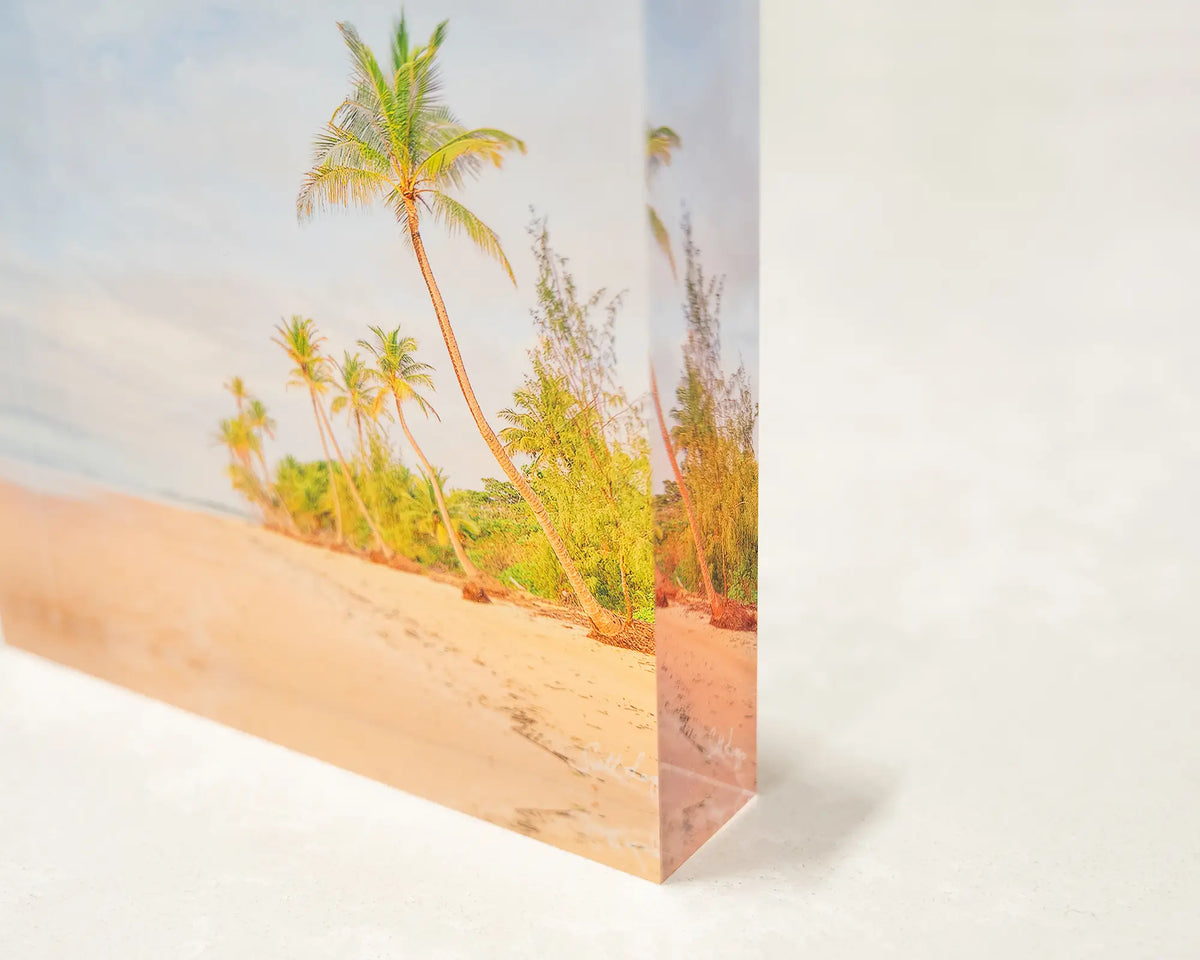 Mission Palms. Acrylic block coastal artwork of Mission Beach Queensland, corner close-up details.