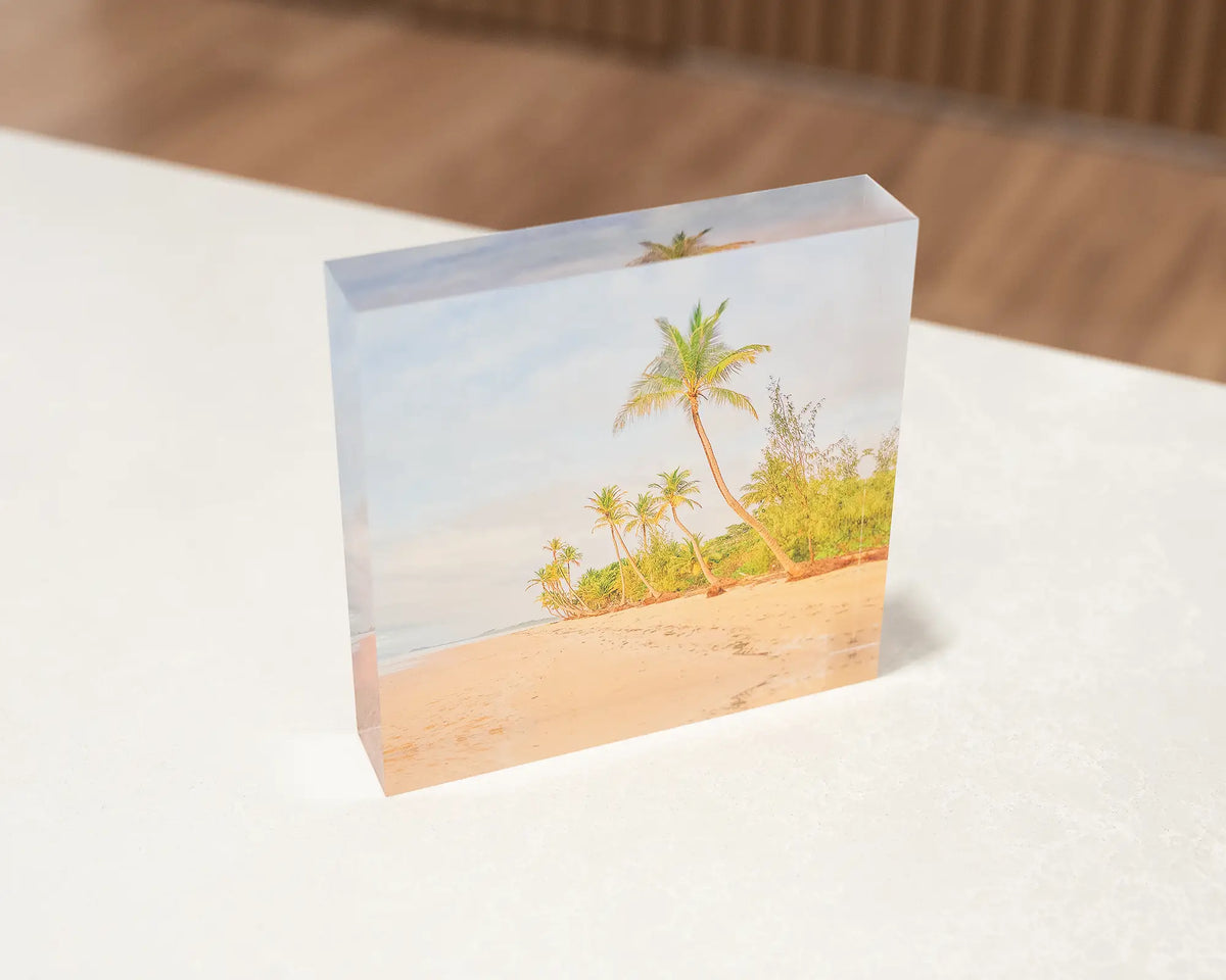 Mission Palms. Acrylic block coastal artwork sitting on a desk.