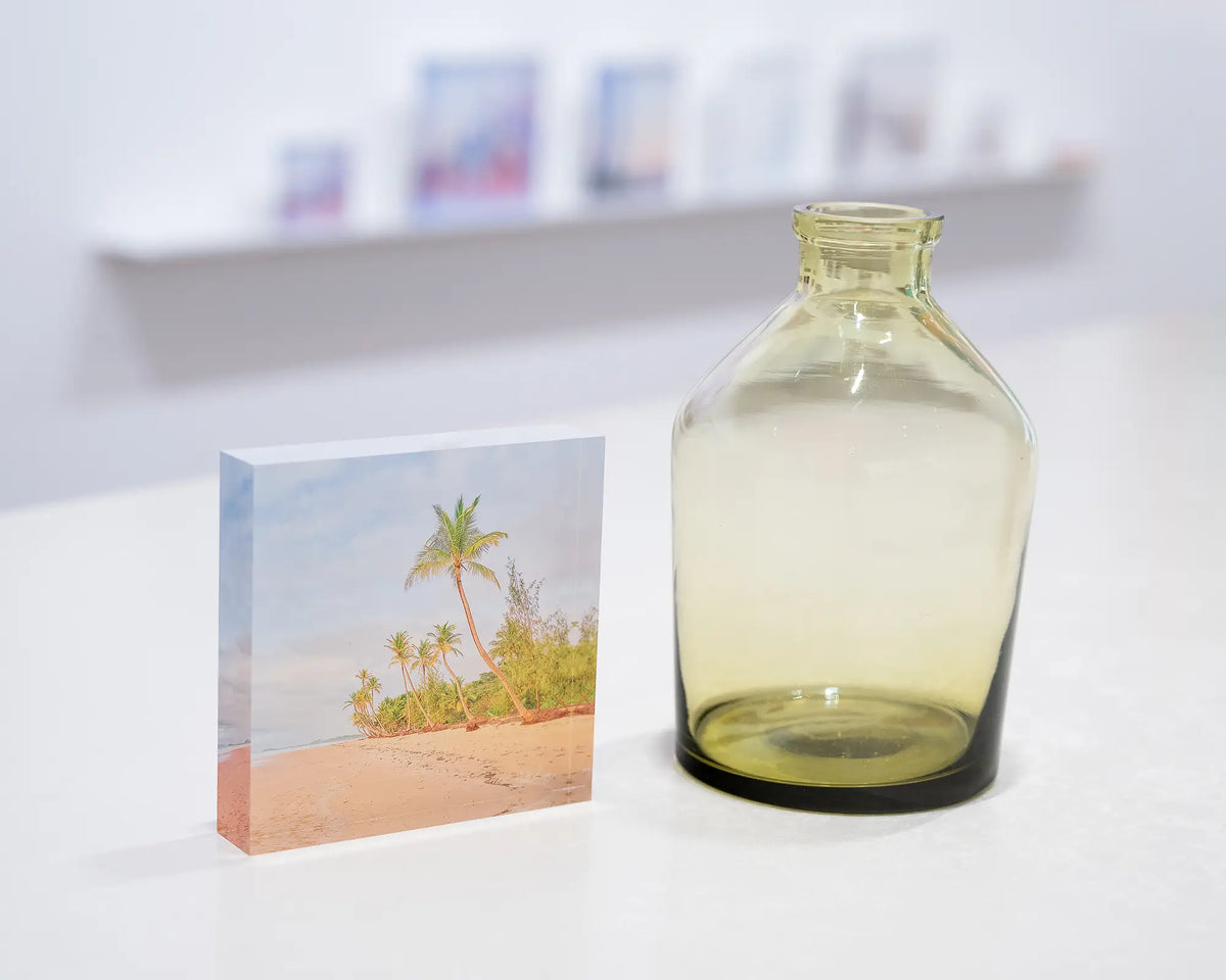 Mission Palms. Acrylic block Mission Beach, Queensland, on gallery desk styled with a small vase.