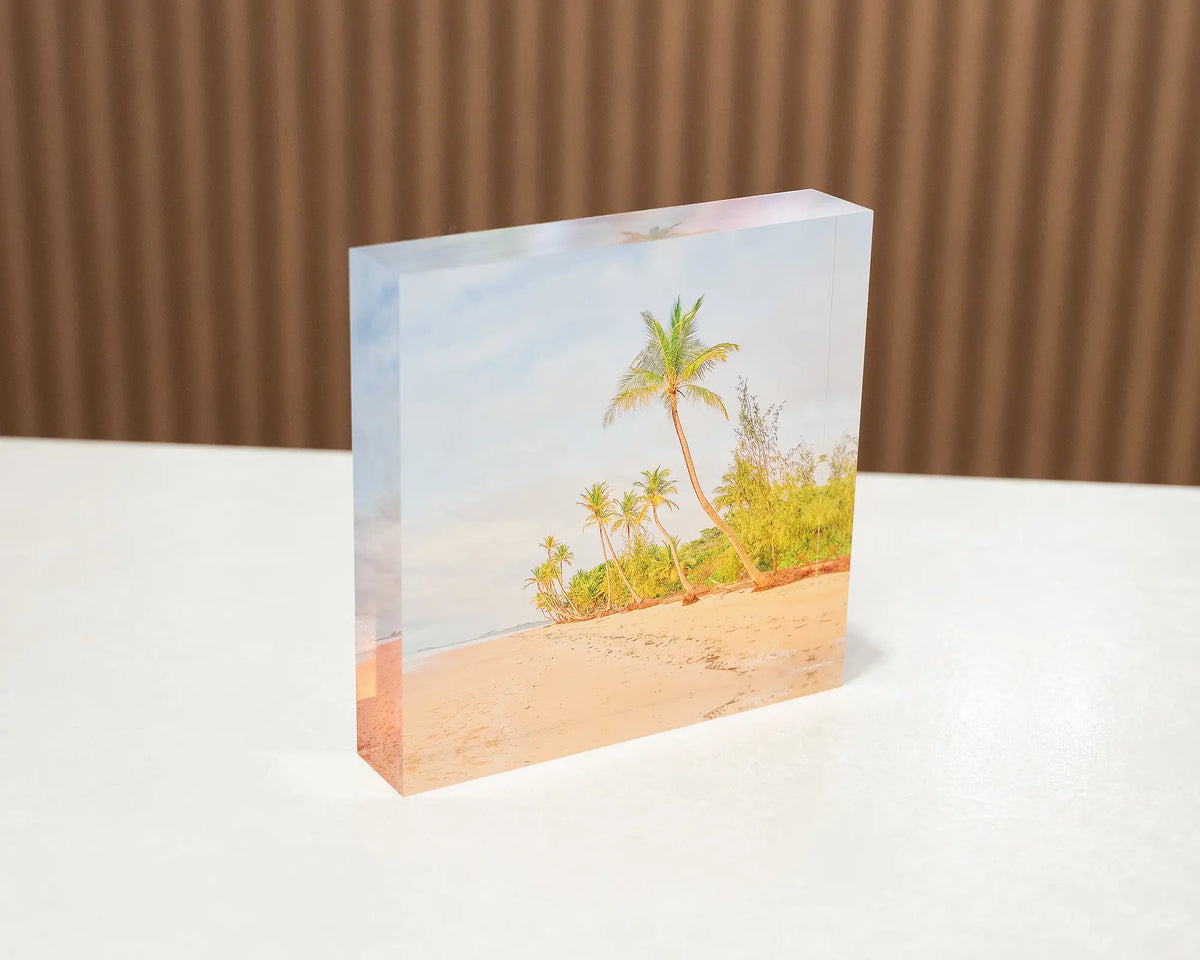 Mission Palms. Acrylic block of Mission Beach Queensland, sitting on a desk.