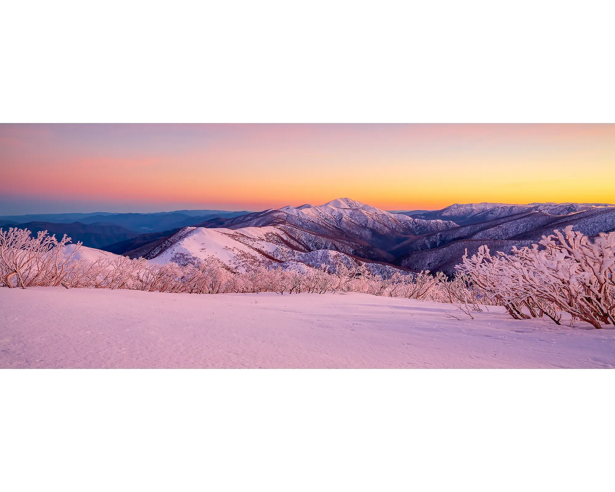 Mount Feathertop with snow and pink sunrise.