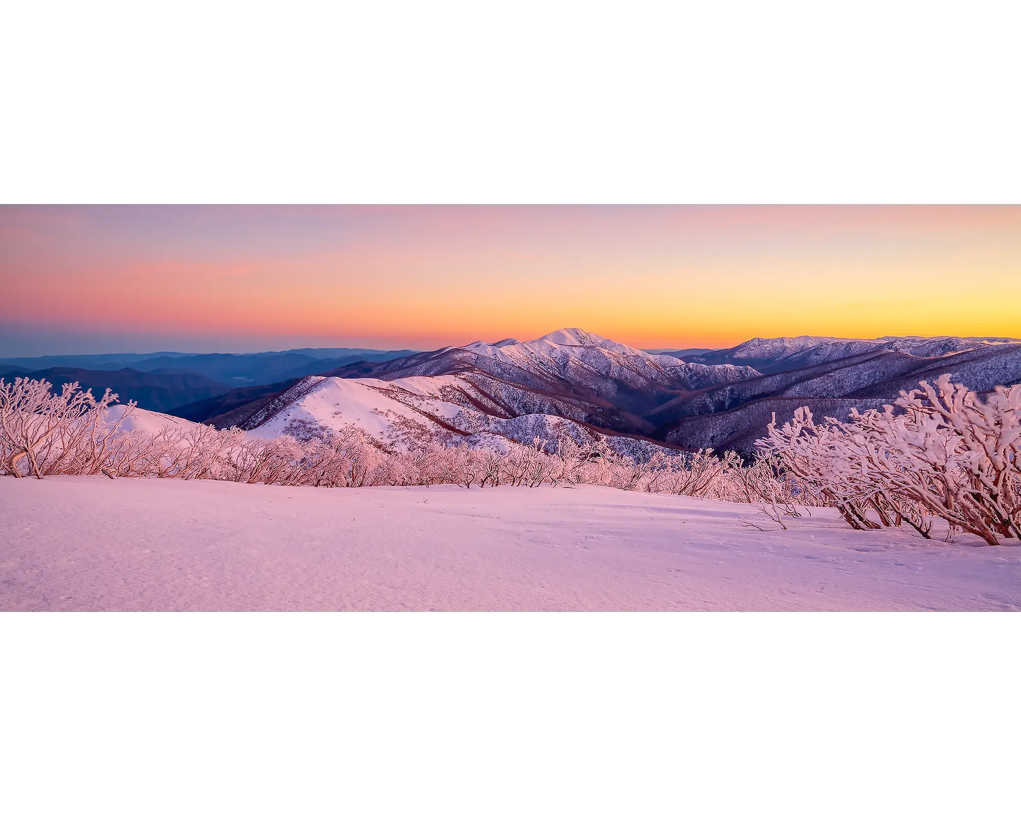 Mount Feathertop with snow and pink sunrise.