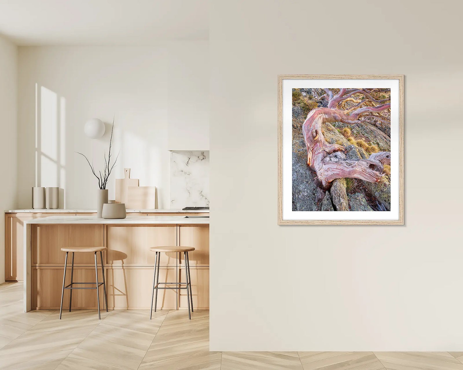 Moulded. Snow gum on top of Mount Gingera