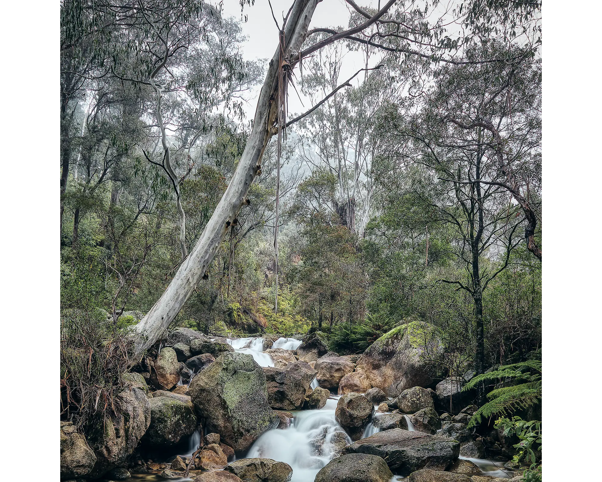 Mountain Flow - Eurobin Creek flowing down Mount Buffalo National Park.