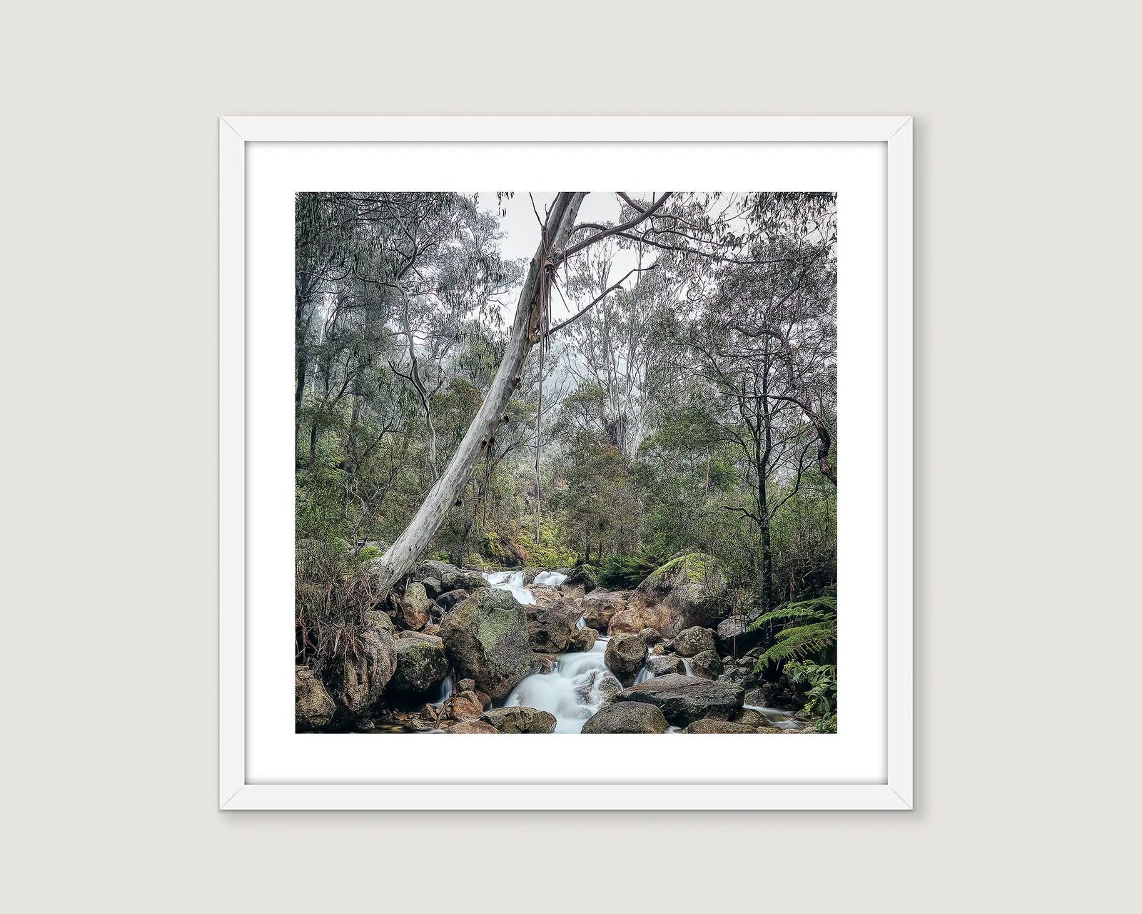 Framed landscape photograph of a river flowing through a forest of gum trees.