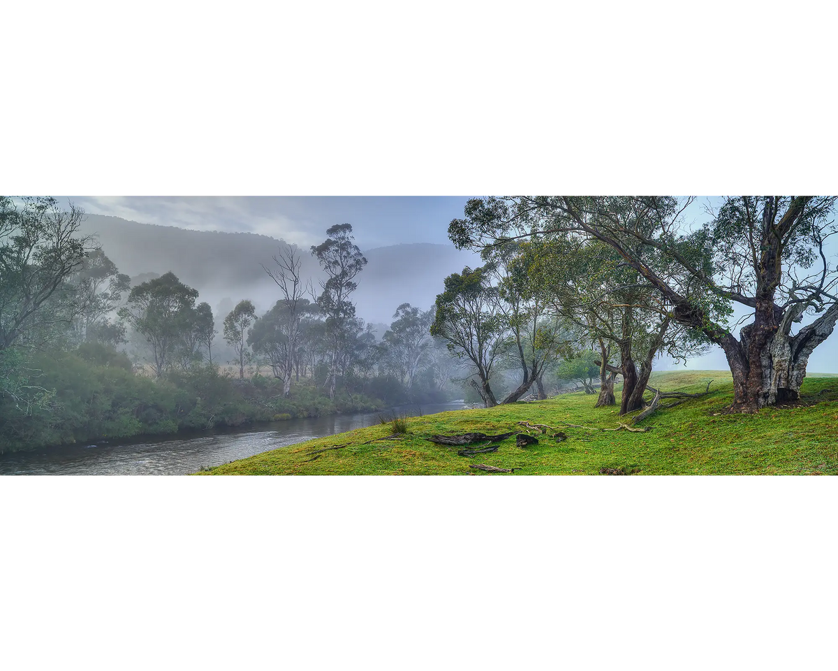 Murray Mystique. Early morning fog, Murray River, Australia.
