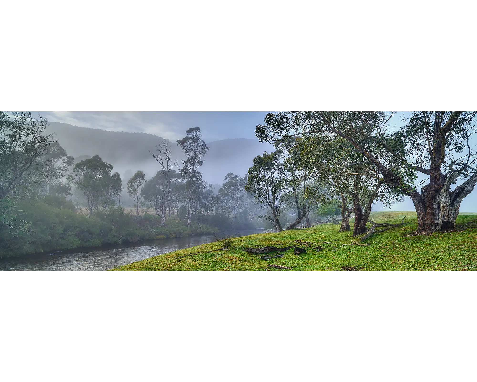 Murray Mystique. Early morning fog, Murray River, Australia.