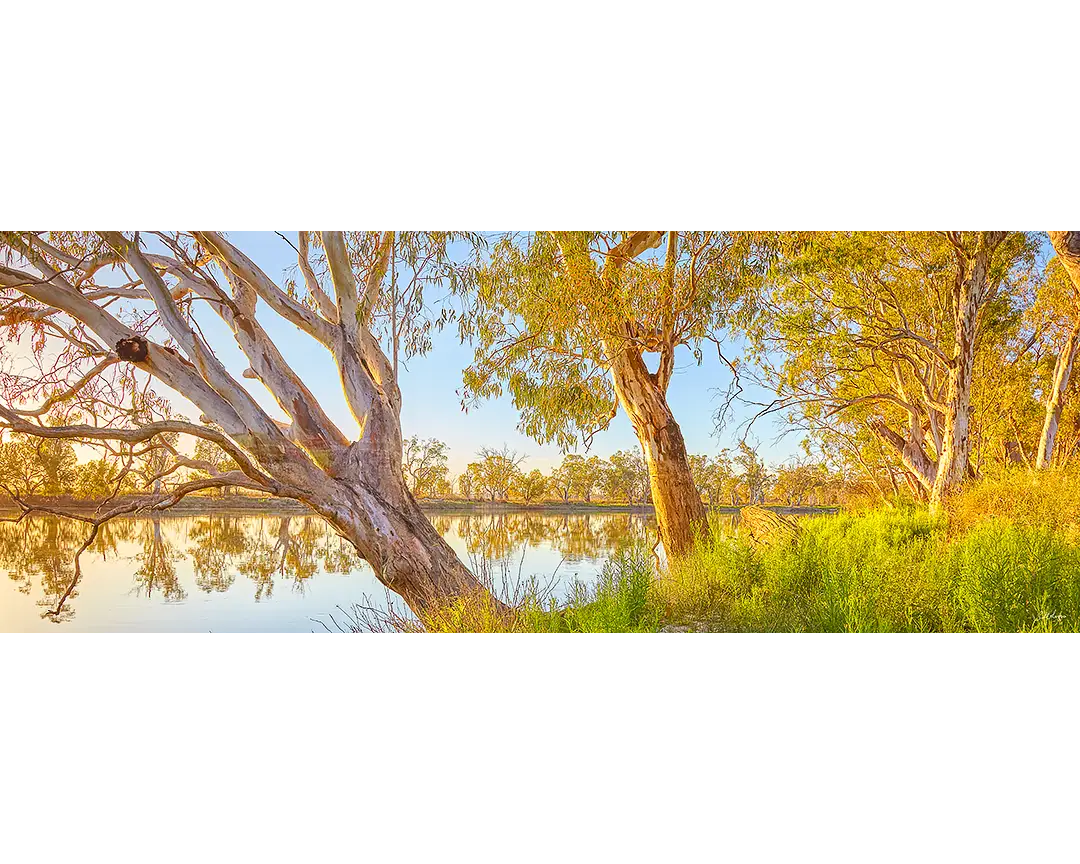 Scott Leggo’s 1000 piece jigsaw puzzle of the murray river at sunrise.