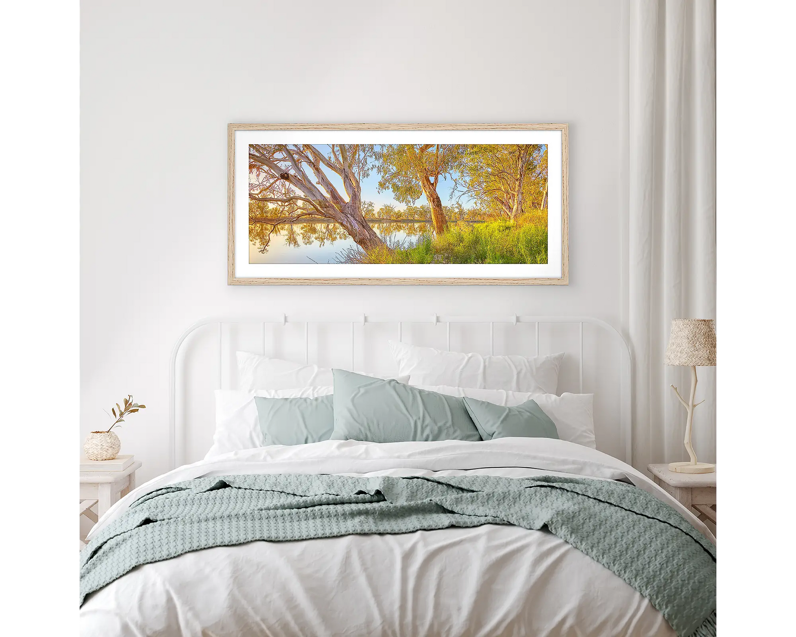 Murray Sunrise. Gum trees beside the Murray River at sunrise, South Australia.