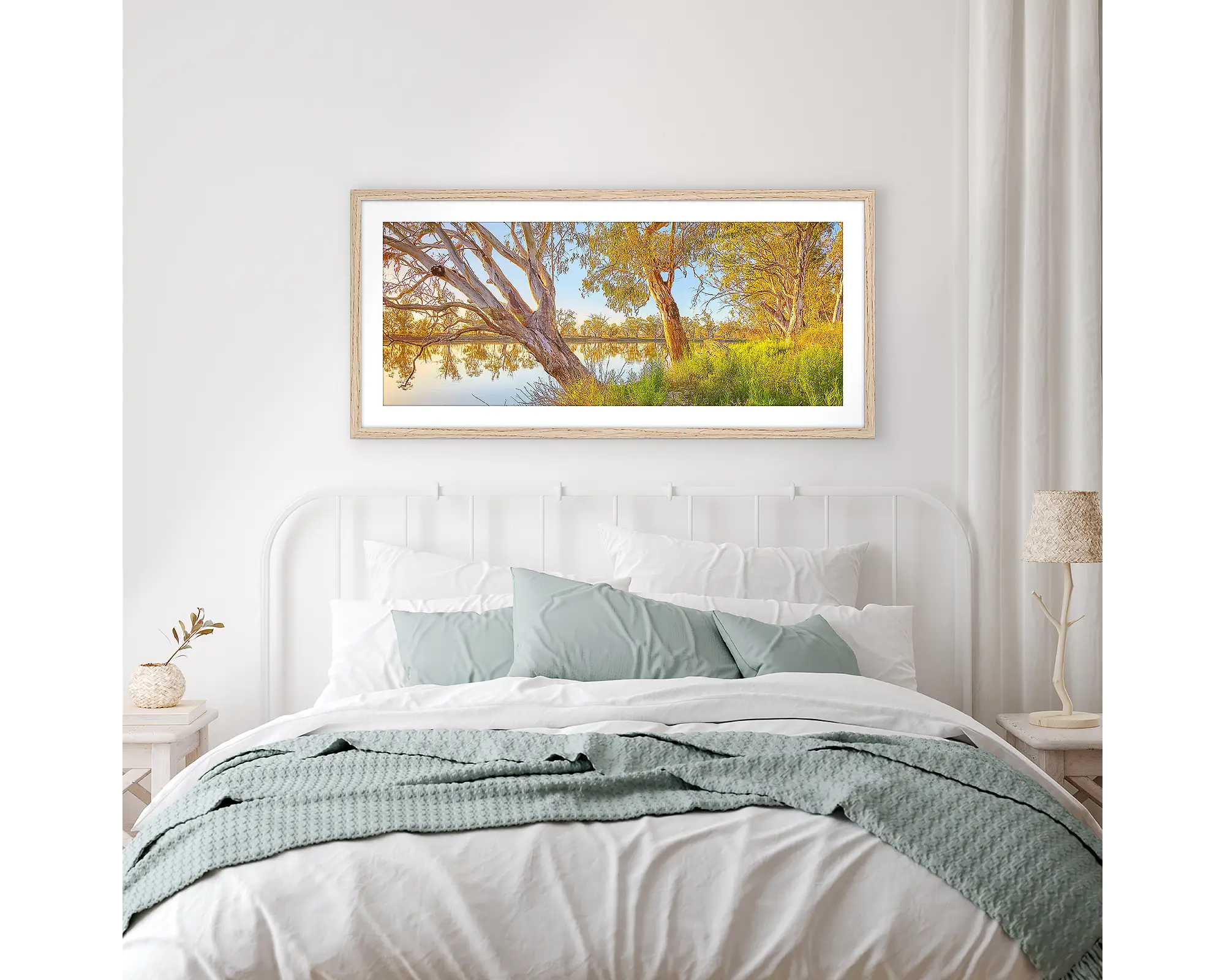 Murray Sunrise. Gum trees beside the Murray River at sunrise, South Australia.
