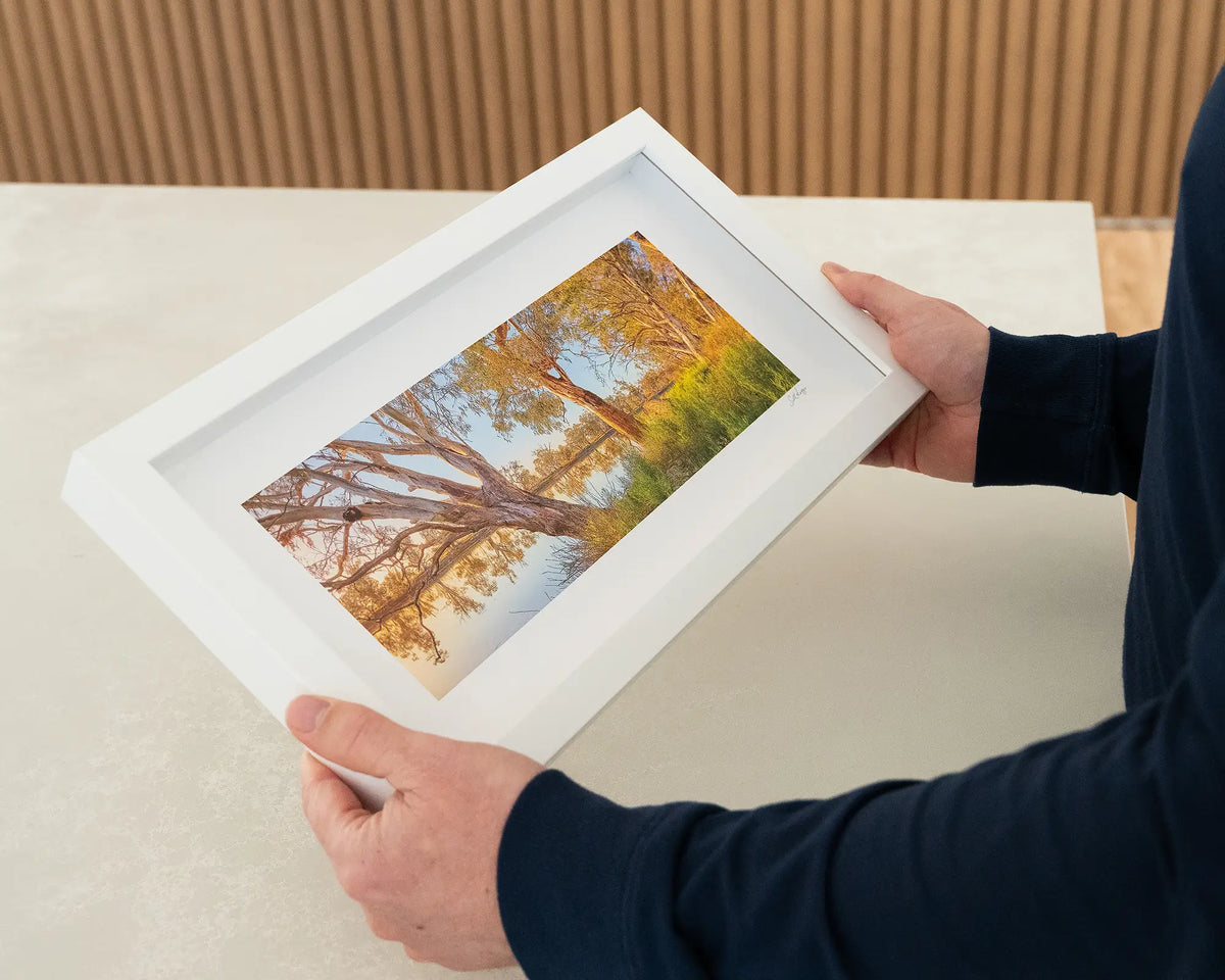 Murray Sunrise. Murray River small framed print with white frame being hand held.