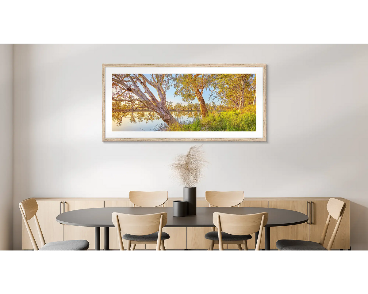 Murray Sunrise. Photographic wall art print of the Murray River at sunrise, framed in a timber frame and hung on a dining room wall. 